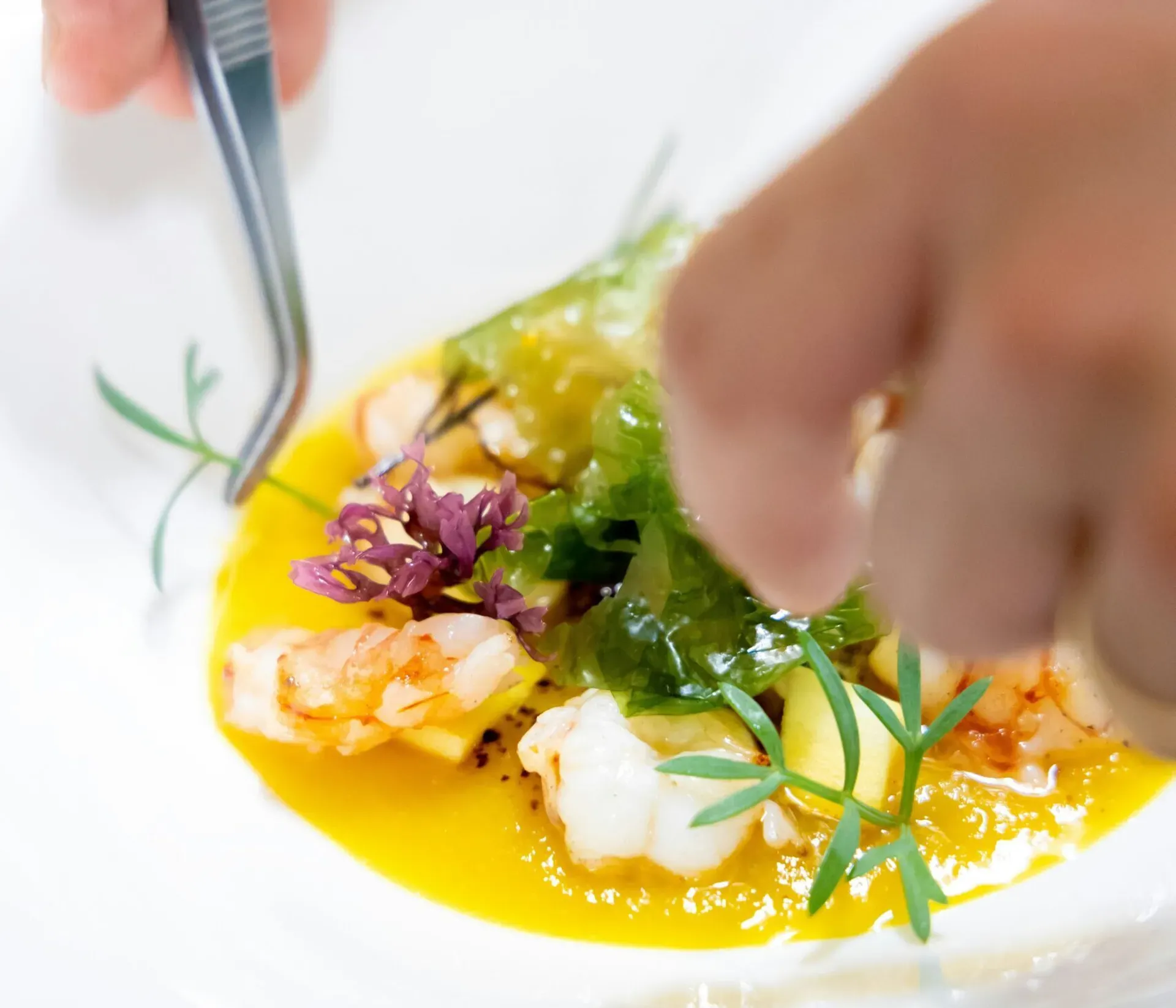 Chef’s hands delicately garnishing a gourmet plate of shrimp and vegetables with fresh garden herbs, using kitchen tweezers.