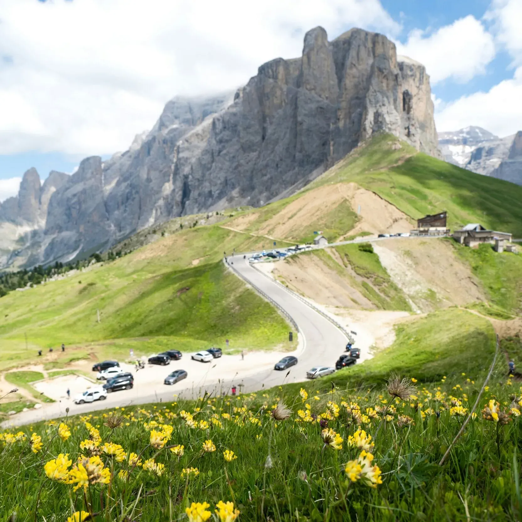 Foreground meadow with blooming dandelions, iconic winding road for cyclists and motorcyclists at Passo Sella, and Mount Sella in the background under a partly cloudy sky.