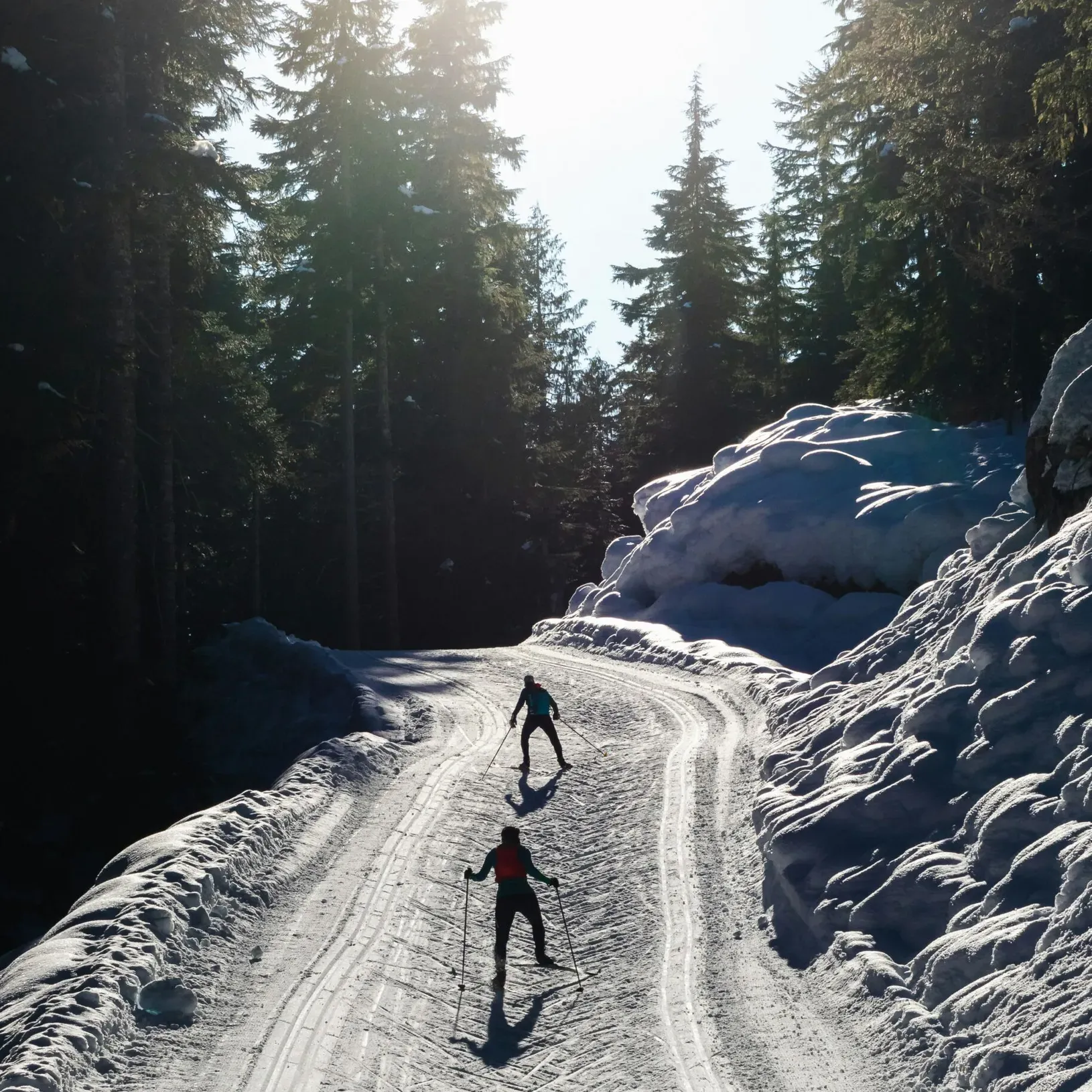 Two skiers skating uphill on a cross-country ski trail surrounded by a spruce forest, with soft light illuminating the scene.