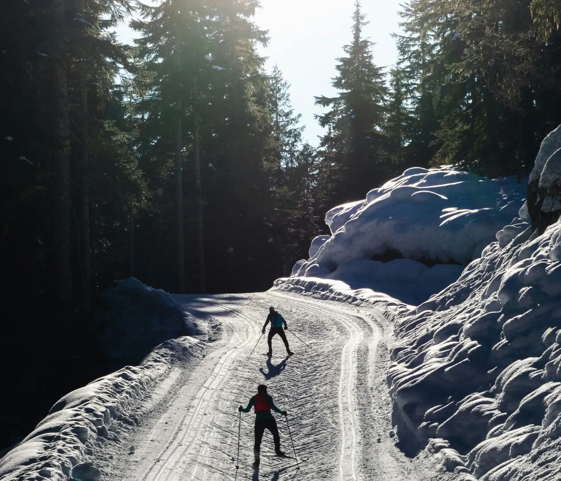 Two skiers skating uphill on a cross-country ski trail surrounded by a spruce forest, with soft light illuminating the scene.
