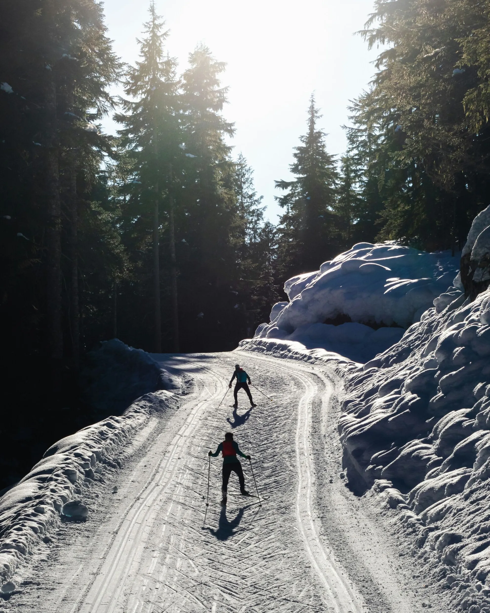 Two skiers skating uphill on a cross-country ski trail surrounded by a spruce forest, with soft light illuminating the scene.
