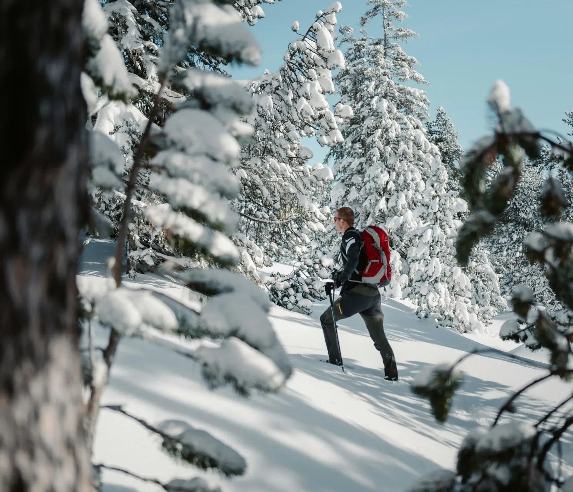 Hiker on a winter trek in a forest clearing covered with fresh snow, walking on an untracked trail after a recent snowfall.