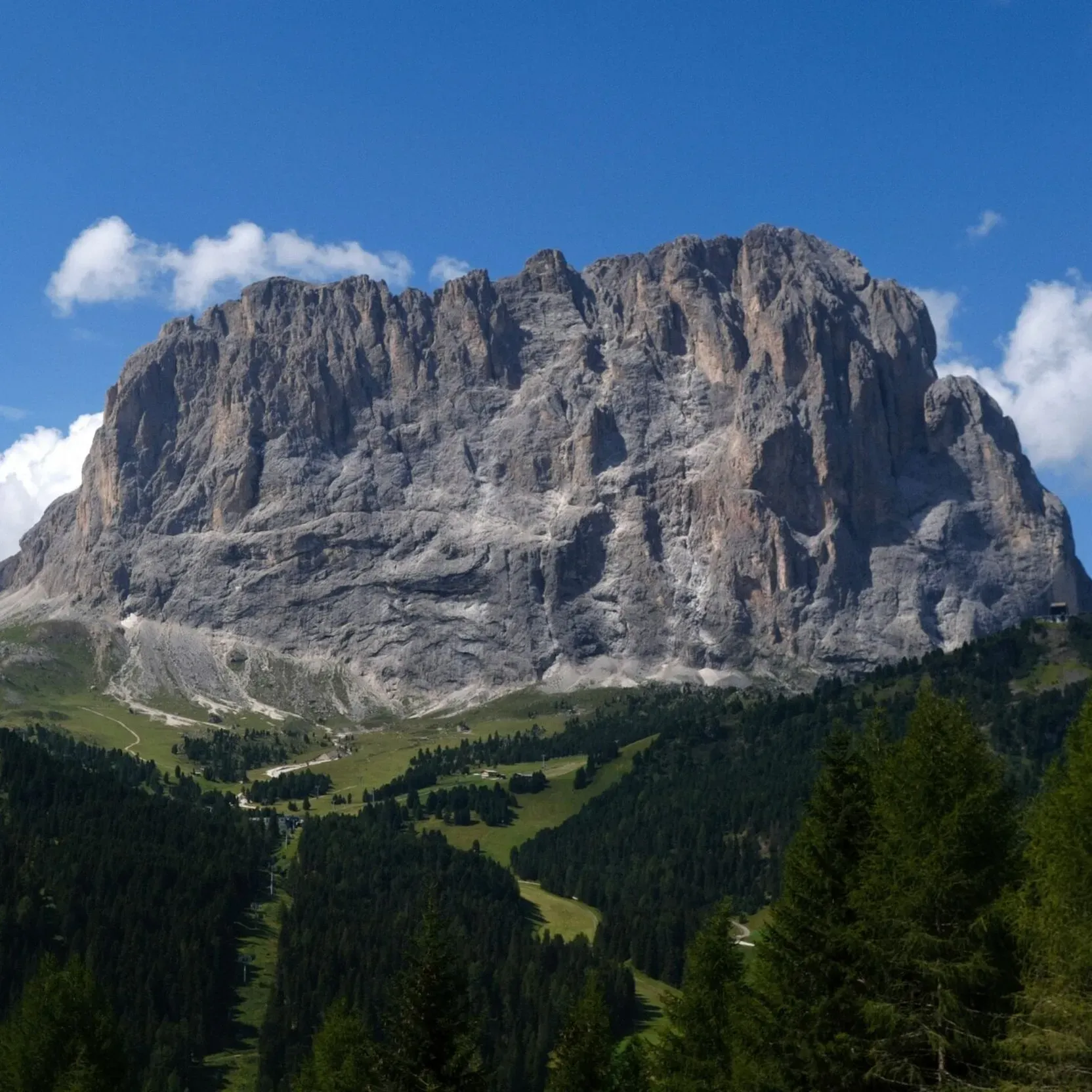 Sassolungo massif on a summer day, with lush green forest at its base and clear sky above the peaks.